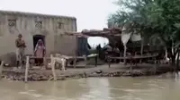 Hujan disertai banjir melanda Pakistan selama dua pekan terakhir.