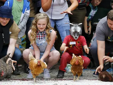Para peserta bersiap melepaskan ayam betina jagoannya dalam World Hen Racing Championships di Bonsall, Inggris, Sabtu (1/8/2015). Sejumlah ayam betina adu kecepatan untuk menjadi pemenang dalam kejuaran tersebut. (Reuters/Darren Staples)
