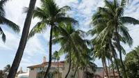 Mar-a-Lago, Mahalnya Harga 'Gedung Putih' Pribadi Donald Trump (DON EMMERT / AFP)