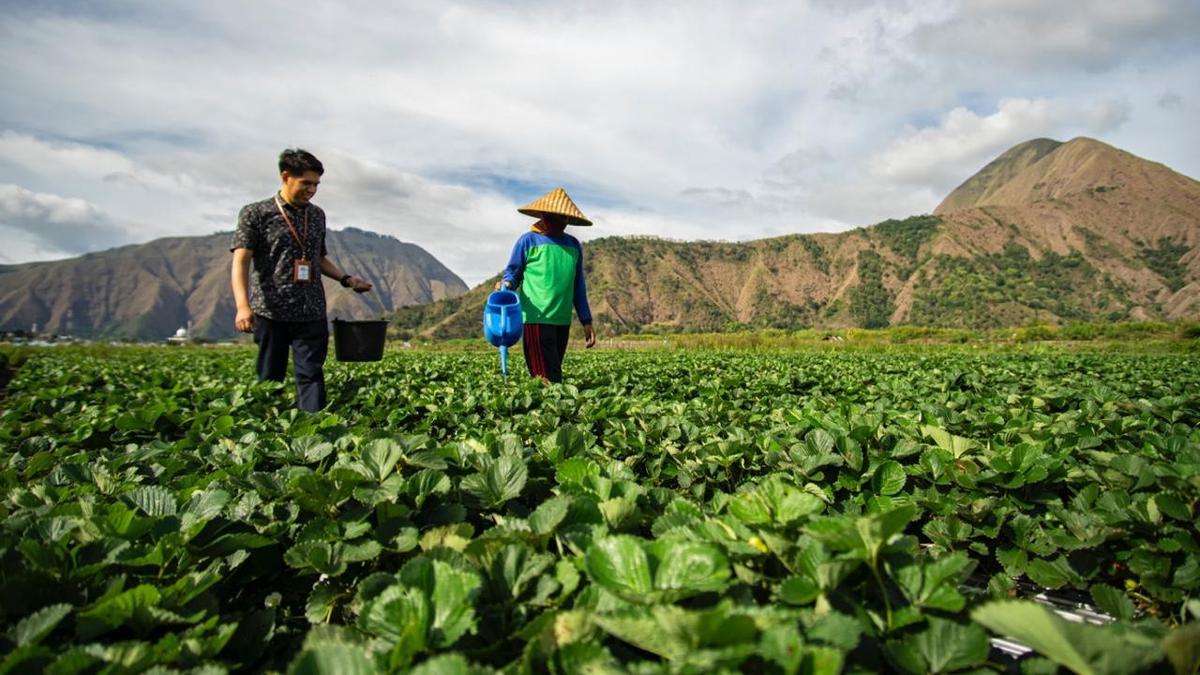 BRI Perluas Akses Keuangan dan Pemberdayaan Petani di Hari Tani Nasional