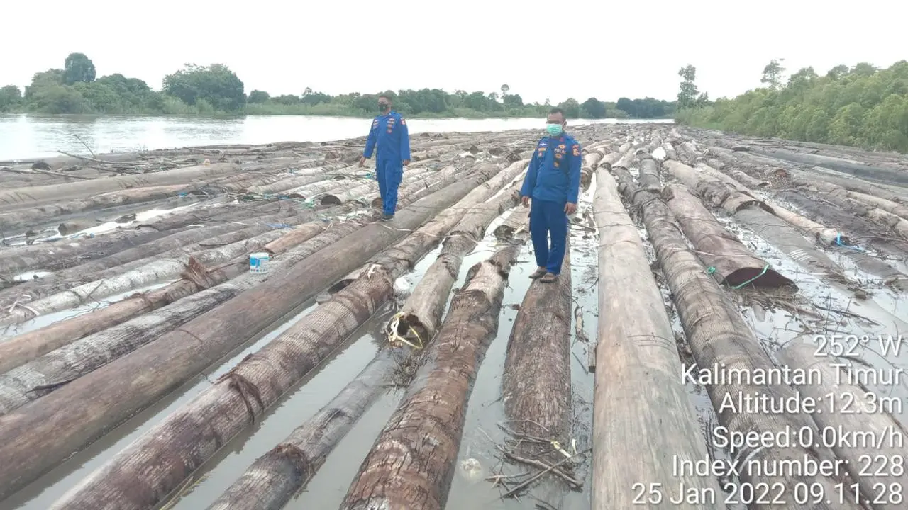 Pembalakan kayu Kukar