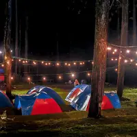 Lalala Fest 2019 (Foto: Twitter alambanten)