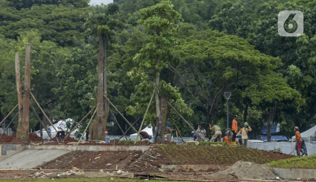 Pekerja melakukan penanaman kembali pohon-pohon di area proyek revitalisasi Taman Sisi Selatan Monunem Nasional, Jakarta, Rabu (5/2/2020).  Pohon tersebut adalah pohon baru untuk mengganti pohon besar yang ditebang. (merdeka.com/Imam Buhori)
