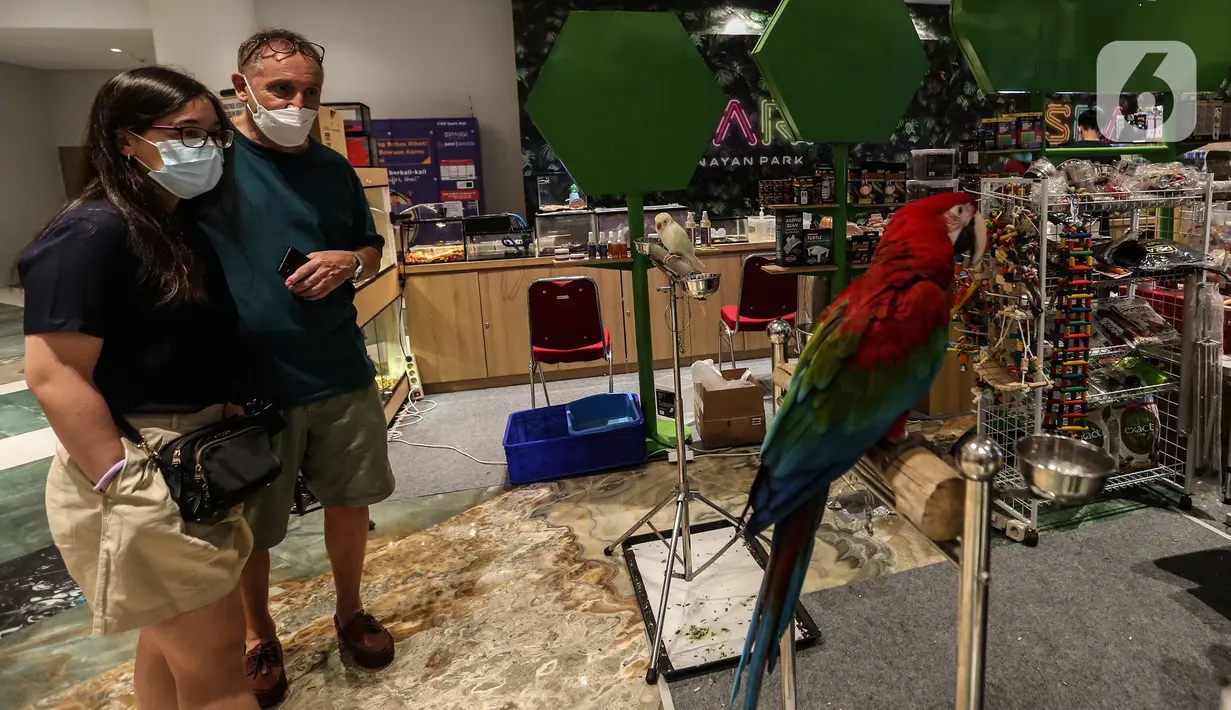 Pengunjung melihat koleksi burung yang dipamerkan dalam Exotique Pet Expo di Senayan Park, Jakarta, Kamis (28/10/2021). Pameran bagi pecinta reptil ini digelar dari tanggal 27 hingga 31 oktober 2021 mendatang. (Liputan6.com/Johan Tallo)