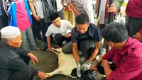 Pelatihan penyembelihan hewan kurban oleh MUI dan DKP3 Kota Sukabumi, dengan pesarta perwakilan Dewan Kemakmuran Masjid (Liputan6.com/Fira Syahrin).