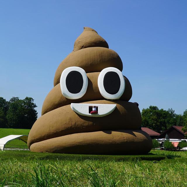 Kesuksesan Tinja Singa Hanya Sementara