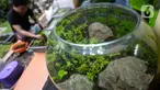 Perajin, Argi Gumilar (27) menyelesaikan pesanan aquascape mini air tawar di Cipayung, Ciputat, Tangerang Selatan, Kamis (5/11/2020). Di masa pandemi, Argi Gumilar menggeluti pembuatan aquarium mini sudah empat bulan ini yang dijual dengan harga Rp 250 hingga Rp 600 ribu. (merdeka.com/Dwi Narwoko)