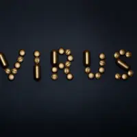 Belum usai pandemi Covid-19, namun Organisasi Kesehatan Dunia (WHO) mengeluarkan peringatan terkait virus baru, monkeypox atau cacar monyet. Simak fakta-faktanya berikut ini! (pexels/miguel a padrinan).