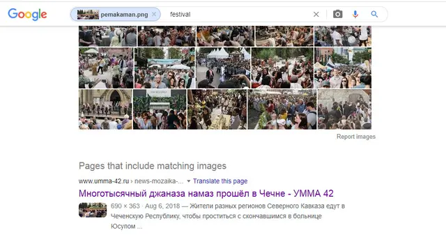 Hasil penelusuran Google Image