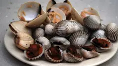 Tak semua makanan yang sering kita konsumsi aman. Beberapa makanan paling umum di dunia bahkan yang sering kita konsumsi ternyata bisa mendatangkan bahaya. 