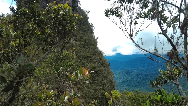 Bebatuan di Gunung Batu Lawi termasuk kawasan Taman Nasional Pulong Tau. (Dok: Gunung Bagging https://www.gunungbagging.com/batu-lawi/nggallery/page/3)
