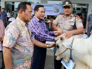 Direktur SCM, Imam Sudjarwo menyerahkan hewan kurban di kantor Indosiar, Jakarta, Jumat (9/9). SCM menyerahkan secara simbolik 5 ekor sapi dan 57 ekor kambing kepada Kelurahan, Koramil, Polsek dan Biro di seluruh Indonesia. (Liputan6.com/Helmi Afandi)