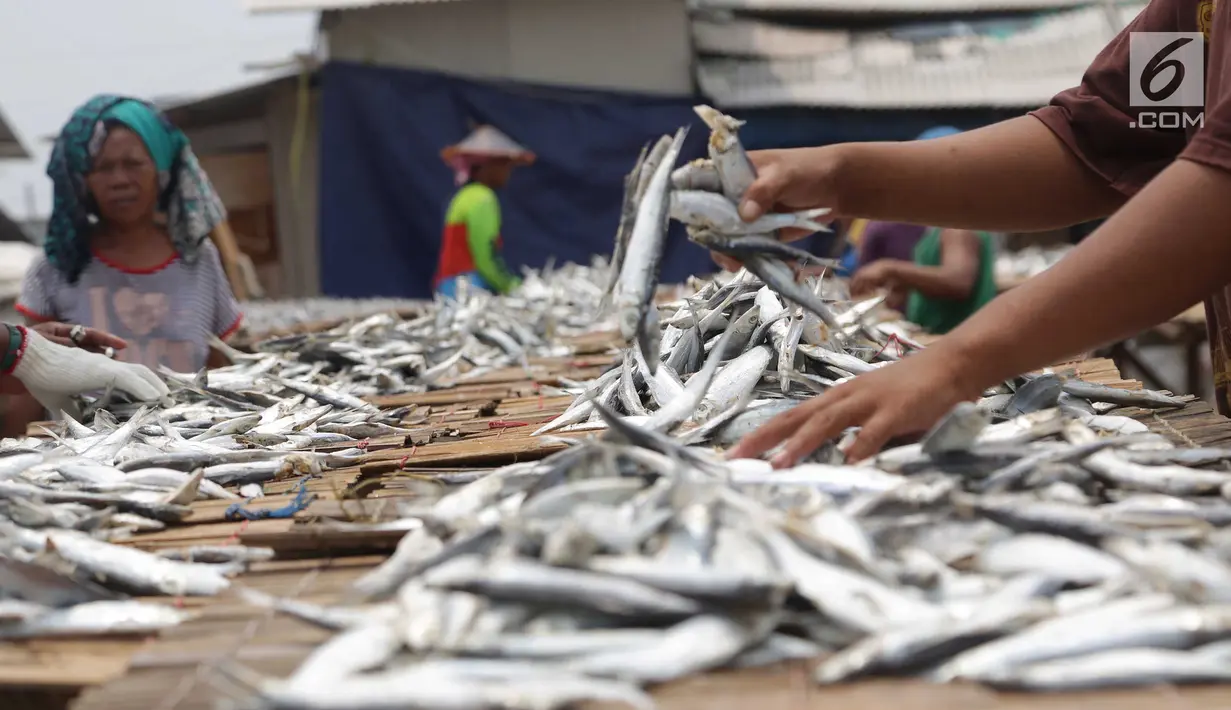 Warga menjemur ikan asin di Muara Angke, Jakarta, Rabu  (13/9). Produksi ikan asin yang merupakan usaha rumah tangga nelayan di daerah tersebut mengalami peningkatan hingga 50 persen saat musim kemarau. (Liputan6.com/Angga Yuniar)