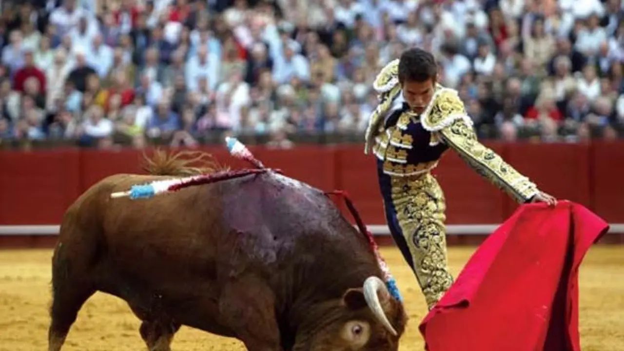 [Bintang] Banteng