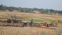 Petani di Cilacap menjual bongkahan tanah sawah pada musim kemarau. (Foto: Liputan6.com/Muhamad Ridlo)