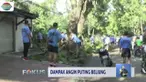 Pasca-bencana angin puting beliung Kamis petang, petugas BPBD dan Tagana butuh bantuan untuk melakukan pembersihan dan evakuasi pepohonan yang tumbang.