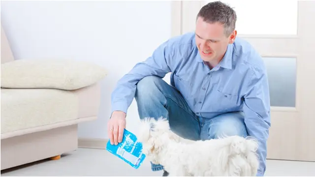 Foto copyright shutterstock.com