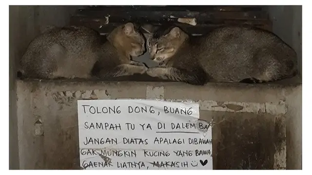 Peringatan di kos (Sumber: Twitter/@amaliawh)