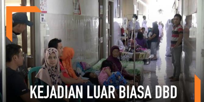 VIDEO: Ponorogo Tetapkan Status Kejadian Luar Biasa DBD