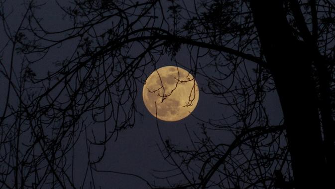 11 Arti Mimpi Seputar Bulan Pertanda Dapat Rezeki Dan Jodoh Ragam Bola Com
