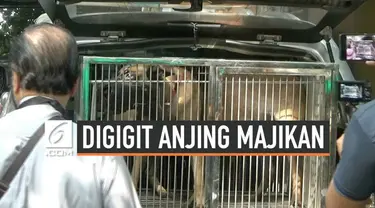 Peristiwa mengenaskan dialami seorang asisten rumah tangga di Cipayung Jakarta Timur. Ia tewas digigit seekor anjing milik majikannya.