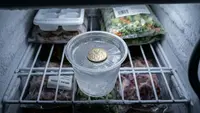 Trik Taruh Koin di Freezer untuk Membantu Mengecek Kondisi Kulkas, Sederhana tapi Berguna