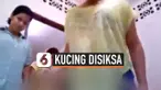 THUMBNAIL kucing