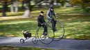 Para penggemar sepeda yang mereka sebut penny-farthing, atau yang juga dikenal sebagai high wheel, dalam kompetisi tradisional 'One Mile Race' di Taman Letna, Praha, Republik Ceko, pada 1 November 2025. Sepeda jenis ini ditemukan sekitar tahun 1870 dan populer hingga model dengan dua roda dan rantai berukuran sama dikembangkan pada tahun 1880-an. (Michal Cizek/AFP)
