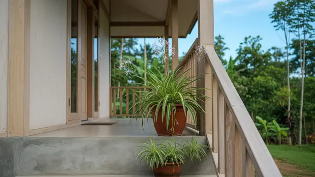 Jenis Tanaman Pot Luar Rumah yang Mudah Dirawat