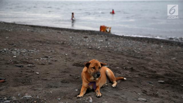 Objek wisata Amed di Karangasem Bali