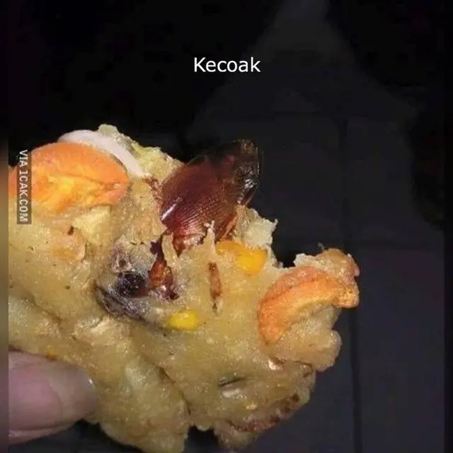 6 Momen Apes saat Makanan Dihinggapi Kecoa Ini Bikin Perut Mual