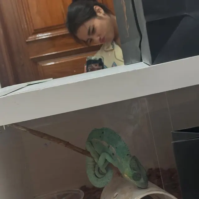 6 Potret Kenangan Fuji Bareng Iguana Kesayangan, Jadi Teman Sehari-hari di Rumah