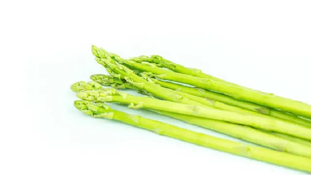 Ilustrasi Asparagus