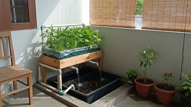 Edible Garden di Teras Kecil