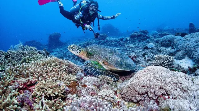 Hobi Baru, Ini 6 Potret Seru Gisella Anastasia saat Diving