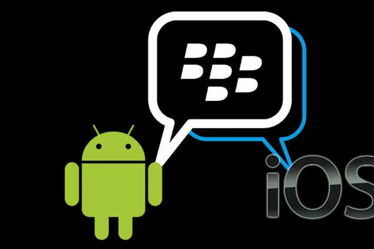 bbm2-131022b.jpg