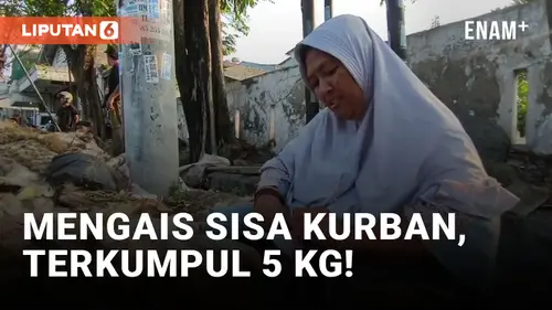 VIDEO: Emak-emak Rela Mengais Sisa Daging Kurban