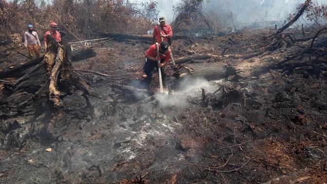 Petugas pemadam kebakaran lahan di Rupat menyiram bara api di gambut agar tak berkobar lagi diterpa angin. (Liputan6.com/M Syukur)