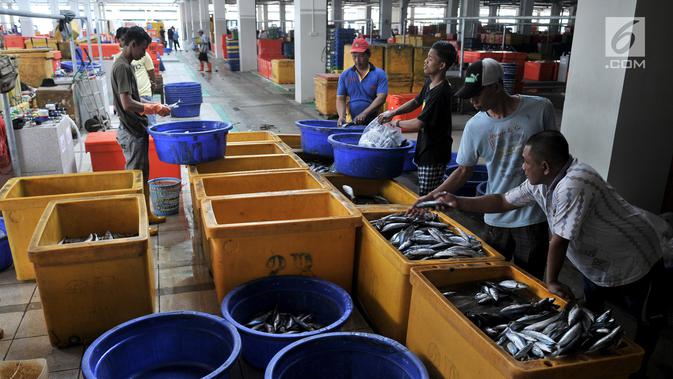 Pedagang menyortir ikan di Pasar Ikan Modern (PIM) Muara Baru, Jakarta, Kamis (21/2). PIM Muara Baru memiliki berbagai fasilitas. (Merdeka.com/Iqbal Nugroho)