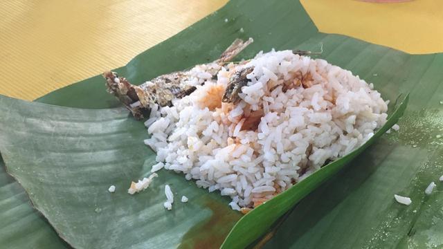 Nasi Malaka