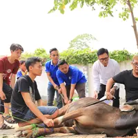 Komedian dan Anggota DPR, Eko Patrio menyerahkan sapi dan kambing pada Idul Adha 2017 ini. Acara pemotongan hewan kurban tersebut dilakukan di kantornya kawasan Cipinang, Jakarta Timur. (Adrian Putra/Bintang.com)