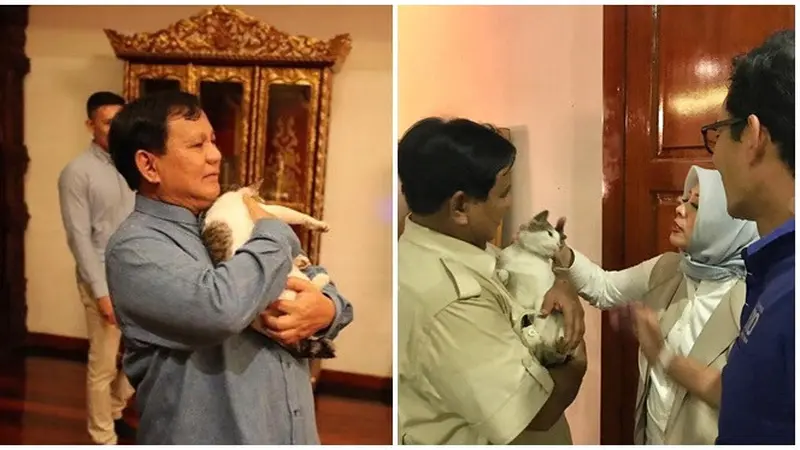 Potret Kedekatan Antara Prabowo dengan Bobby Si Kucing Kesayangan