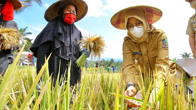 Bupati Ipuk Minta Dinas Pertanian dan Pangan Antisipasi Dampak El Nino
