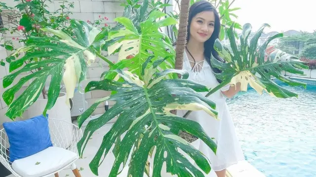 Kebun Titi Kamal di Rumahnya