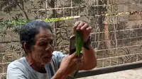 Aksi Kakek Tukang Sapu Sukarela Foto Para Turis di Thailand, Hasil Jepretannya Viral
