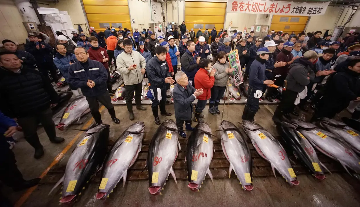 Pedagang grosir menghadiri lelang ikan tuga segar di Pasar Tsukiji di Tokyo (5/1). Seekor tuna sirip biru berukuran 892 pound (405 kilogram) telah terjual 36,5 juta yen (12,5 juta yen) $ 320.000) saat pelelangan tersebut. (AP Photo / Eugene Hoshiko)