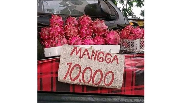 6 Cara Promosi Jualan Buah Tidak Nyambung Ini Bikin Tepuk Jidat