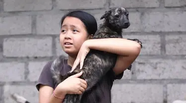 Dewi meyakini ia berutang nyawa pada seekor anjing liar yang membantunya siuman dari kondisi koma empat tahun lalu.