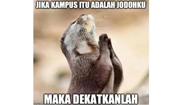 8 Curhatan Netizen Tunggu Pengumuman SBMPTN 2020, Bikin Ikut Deg-Degan