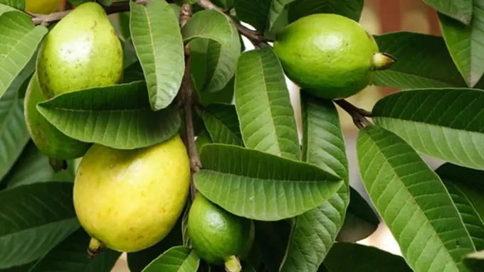 copyright by thinkstockphotos.com